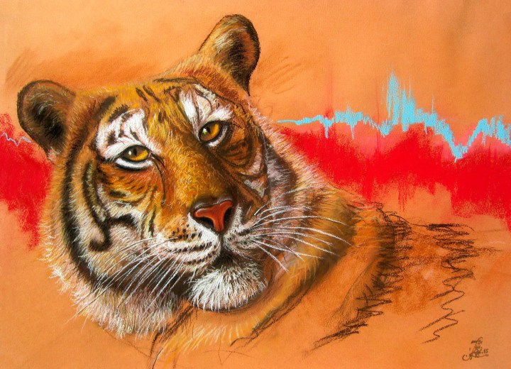 Zoom - brochure MOTIFS 005 05.jpg