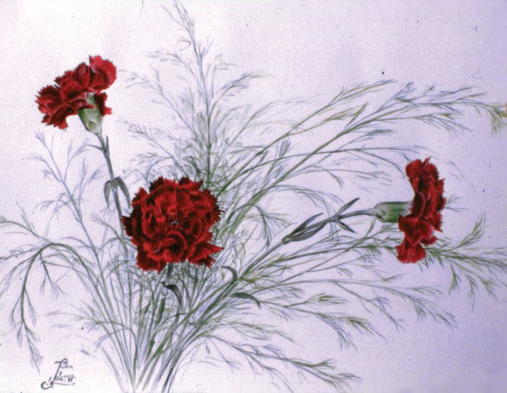 Zoom - brochure MOTIFS  005 07 - n1 sans cadre.jpg