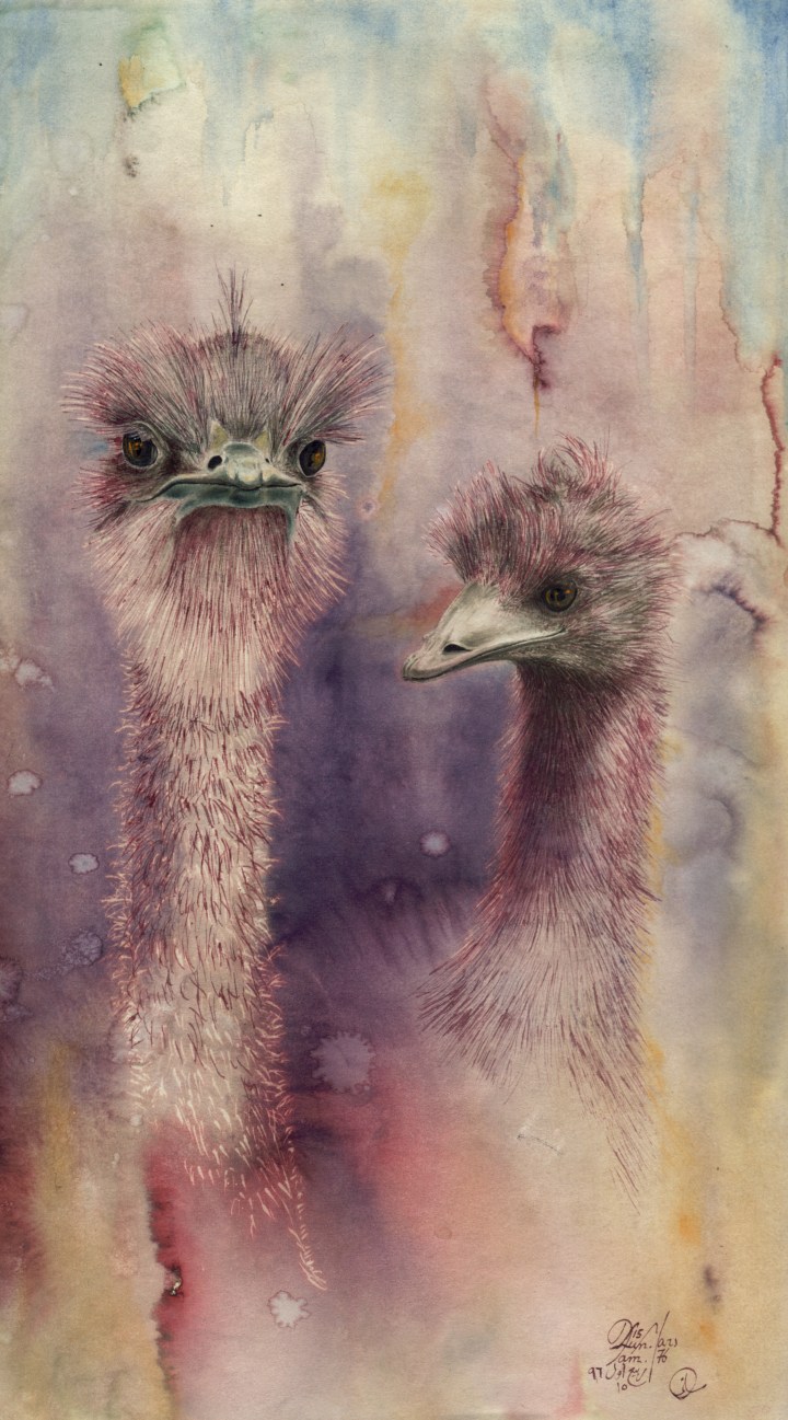 zoom-brochure-motifs-005-08-emeus-seuls