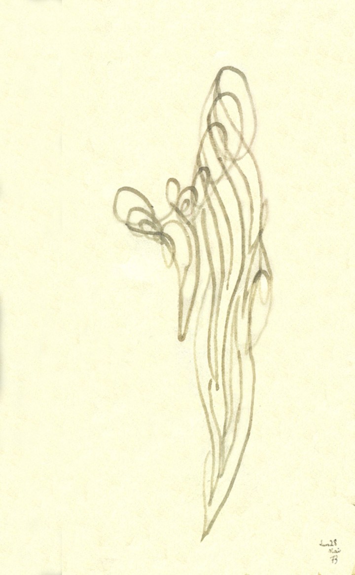 zoom-m-a-012a-donne-par-s-2011-aout