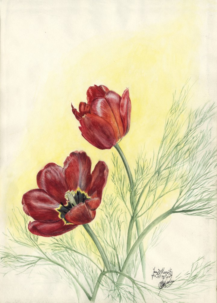 Zoom - Tulipes.jpg
