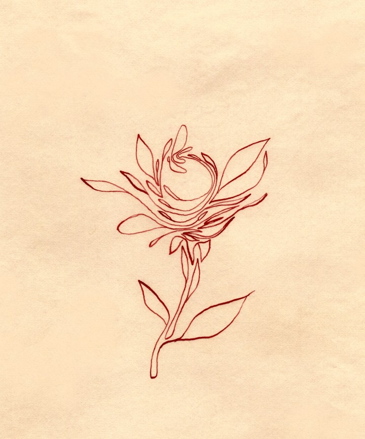 zoom-untitled-7b01-donne-par-s-2011-aout